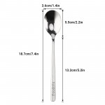 Feedtrie 12 pcs Premium Stainless Steel Spoon – High-Quality and Durable – Classic Design with Smooth Polished Surface – Easy to Clean and Dishwasher Safe – Ideal for Everyday Dining, Cooking, and Serving